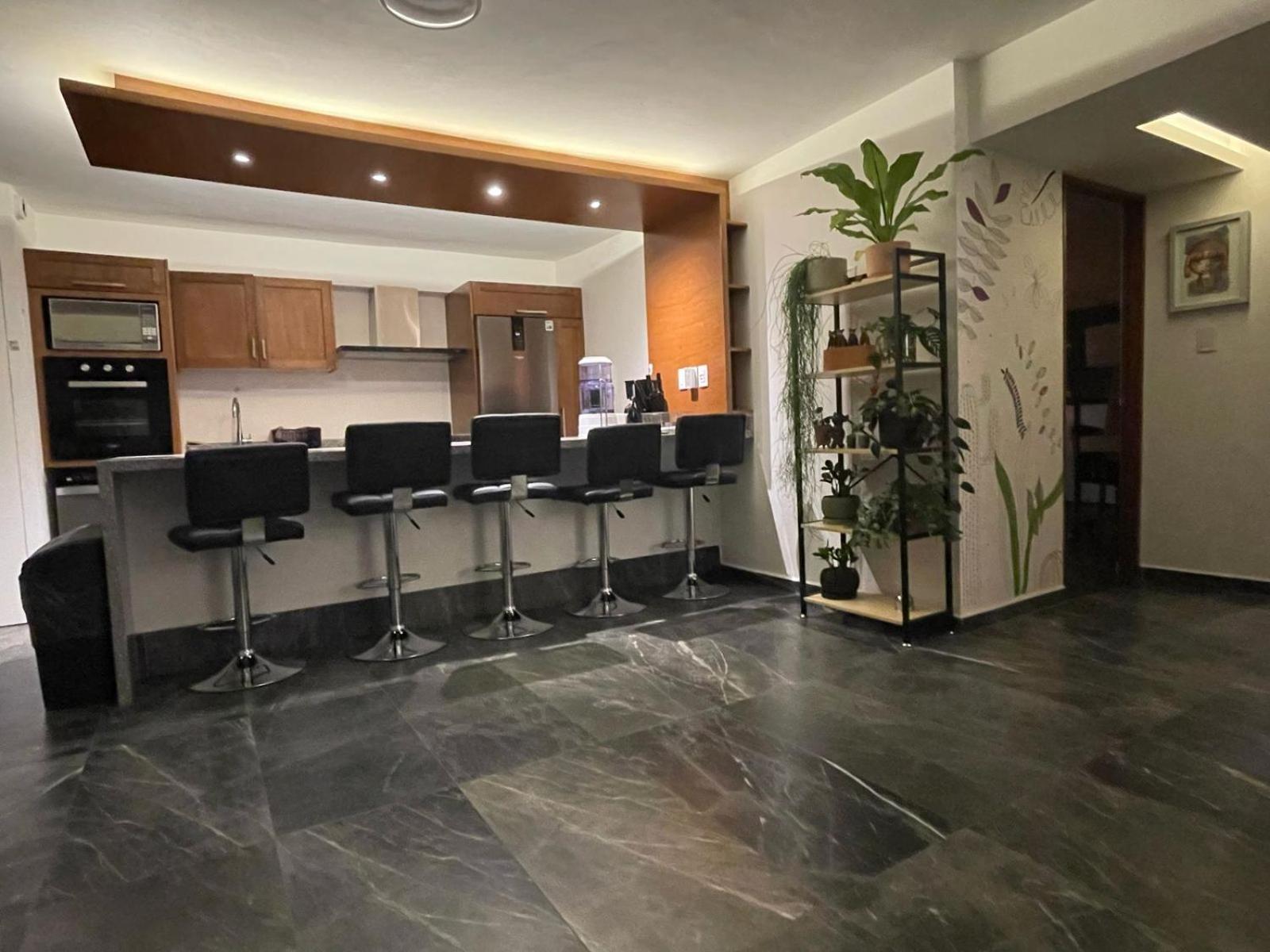 Great Apartment In The Heart Of Coyoacan Cidade do México Exterior foto