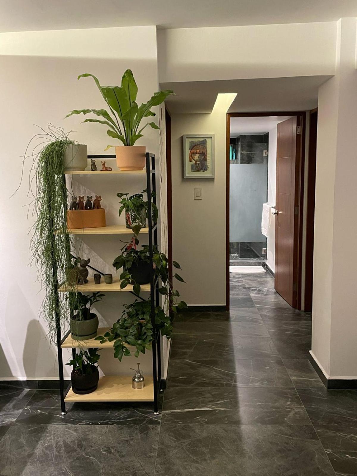 Great Apartment In The Heart Of Coyoacan Cidade do México Exterior foto